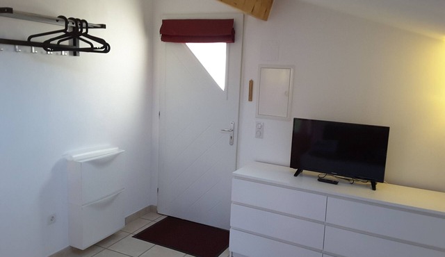 CALM STUDIO IN A GREEN SETTING