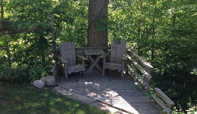 Calmcation: Cabin in The Enchanted Forest