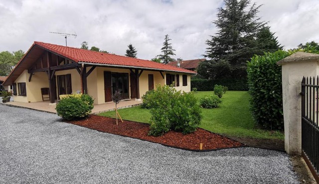 Calme entre pins et océan