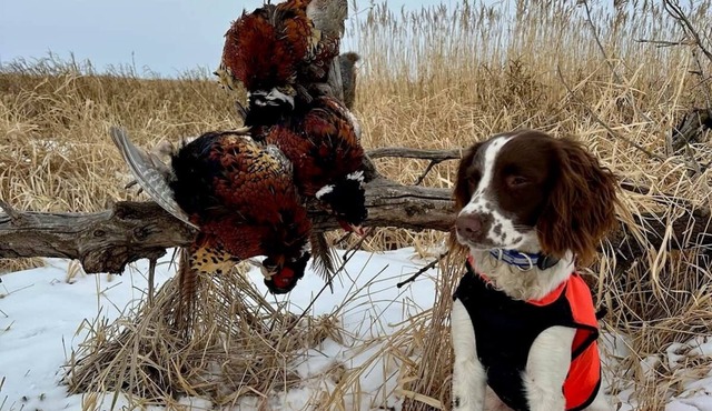 Calvert Creek Hunting Lodge