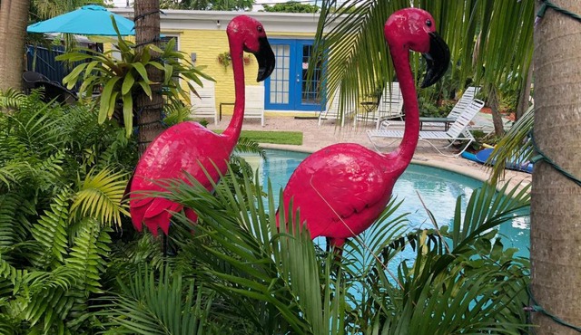 Calypso Inn Wilton Gay Male Resort