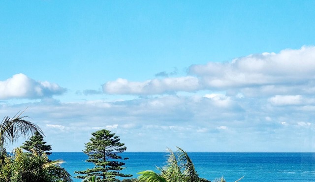 Calypso on Collins - Ocean Views, Town Centre