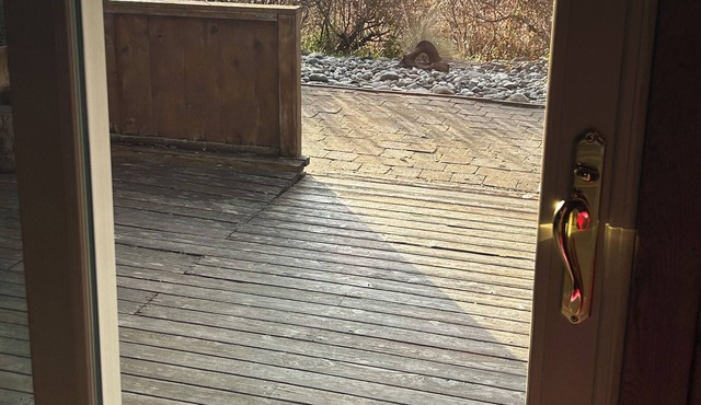 Camano Waterfront Beach Log Cabin