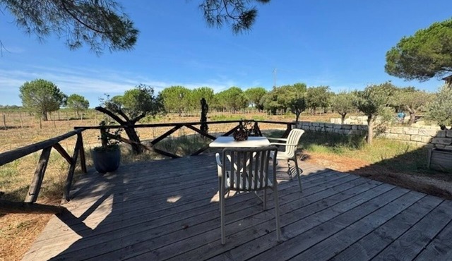 Camargue, authentic and refined charm