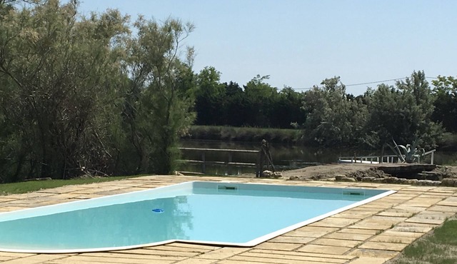 Camargue by the water