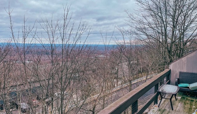 Camelback mountain condo with incredible views! Quick walk to the slopes!