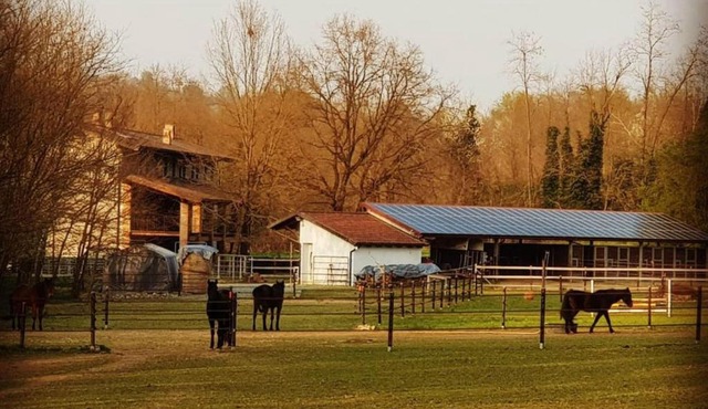 Cameloth B&B in Settimo Rottaro