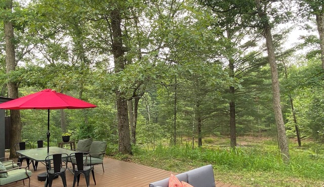 Camp Bushwhack'd-13 acres in Manistee Nat'l Forest