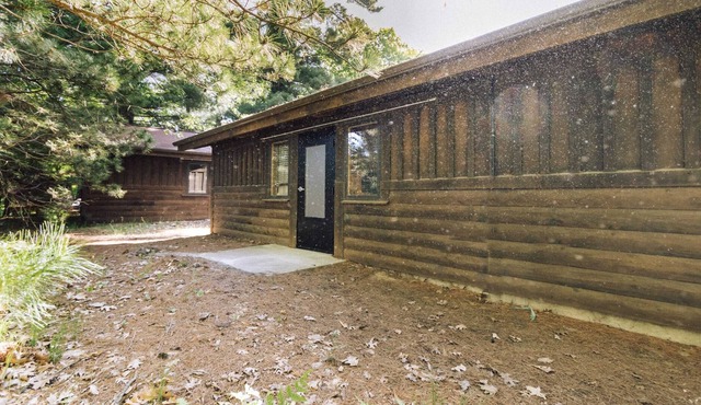 Camp Elsewhere Cabin