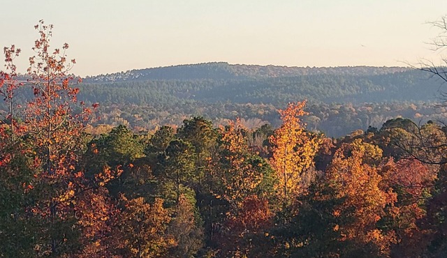 Camp less than a mile from Kirby Landing, Cowhide Cove Mountain Views