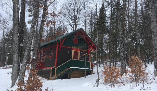 Camp Lillian Gorgeous New Cabin with Mountain Views