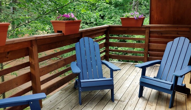 Camp Lily, Whiteface-Vacation, Modern Apartment, Perfect 2 bedroom with AC