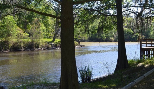 Camp on Bayou Manchac
