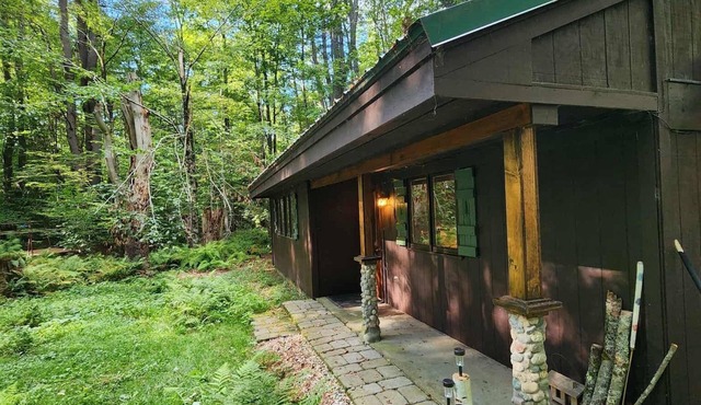 Camp Runamuck Cabin