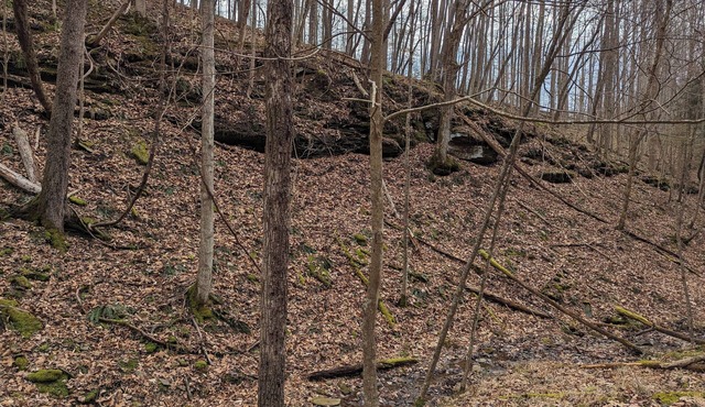camp site in charming Glenville perfect for nature lovers.