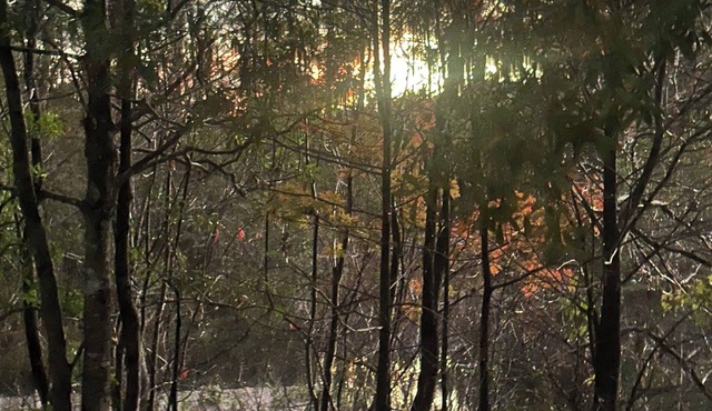 Camp/sleep van laundry Clean restrooms Nature WiFi central Fl. You will love it