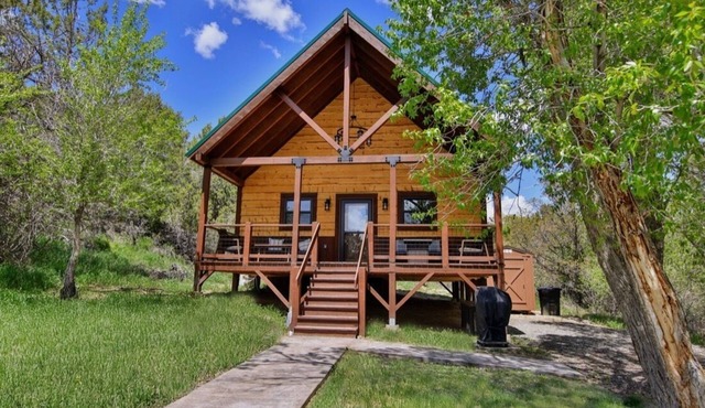 Camp7 Cabin