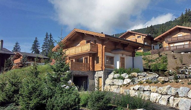 Campanule by Interhome