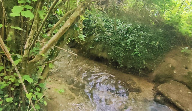 Campement Privatisé Aménagé EN Pleine Nature Près DU ZOO DE Beauval