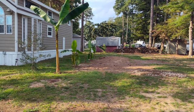 Campground in Horntown, VA , 12 miles from Chincoteague Island, VA