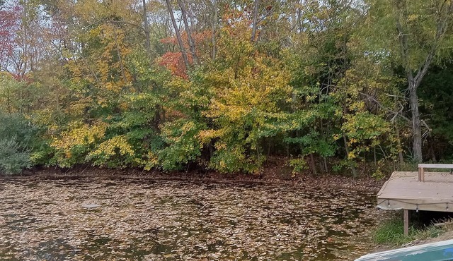 Campground, in the heart of the 2024 Solar Eclipse path, country setting w/pond
