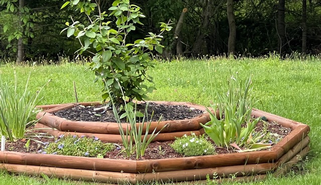 Campground style living in country setting.