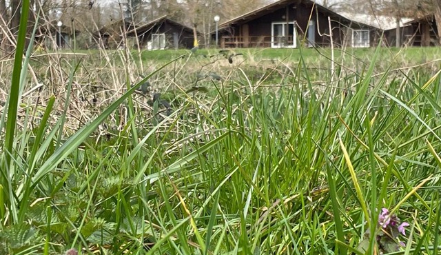 CAMPING DE LA CHALARONNE