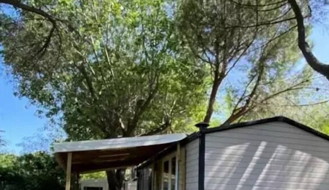 Camping Domaine de l'Arnel ** - Mobile Home Nest 3 rooms 4 people Air-conditioned