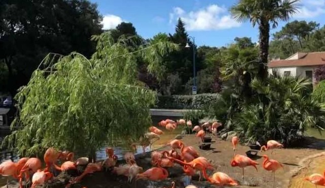 Camping 3 étoiles - Piscine - eehchb