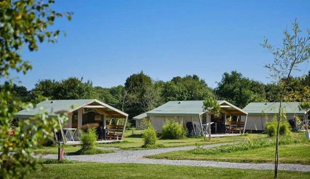Camping 4 étoiles - Piscine - ccbeddf
