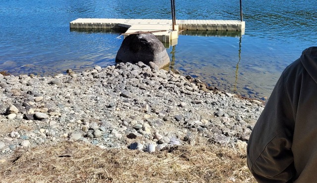 Camping at the River