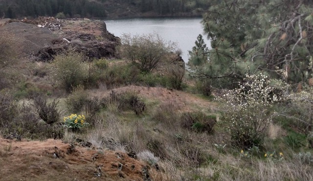 Camping at Williams Lake