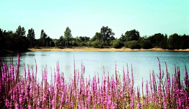 Camping Au Pré de l'Etang * - Mobile home IBIZA DUO 2 bedrooms 4 people