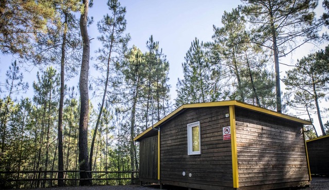 Camping Bois Simonet**** - Chalet Lavande 3 rooms 5 people