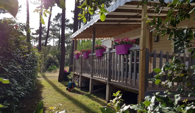 Camping Bonne anse plage 4* MH air-conditioned luxury lodge