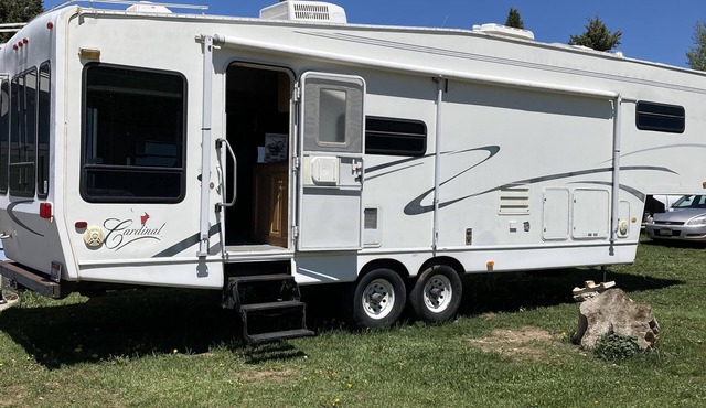 Camping, but more comfy