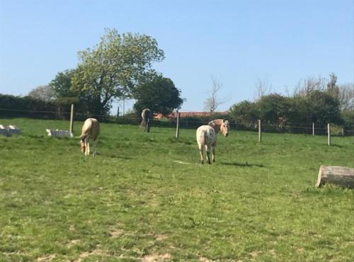 camping de warincthun