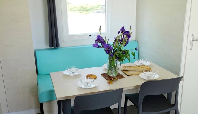 Camping du Bois de Reveuge**** - Super Mercure 3-room mobile home for 5 people