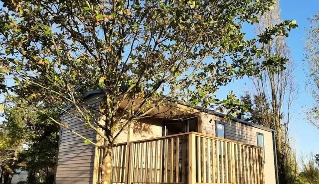 Camping du Bosc * - Mobile-home Loggia Comfort (nine 2022) 4 persons