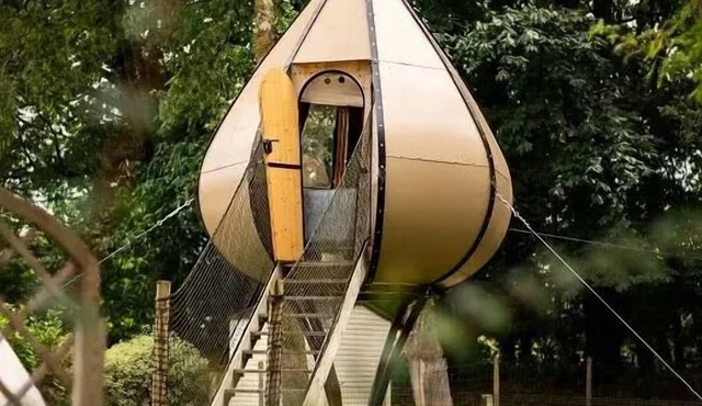 Camping Entre Terre et Mer * - Goutte d'ô cabin 2 people