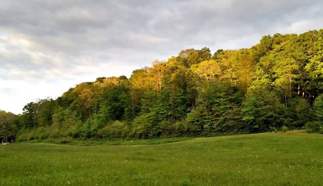 Camping in Hocking Hills on Altenbrauch Farm