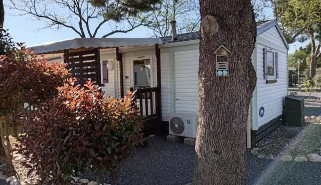 Camping l'Olivier * - Mobil-Homes Comfort 2 bedrooms 4 people