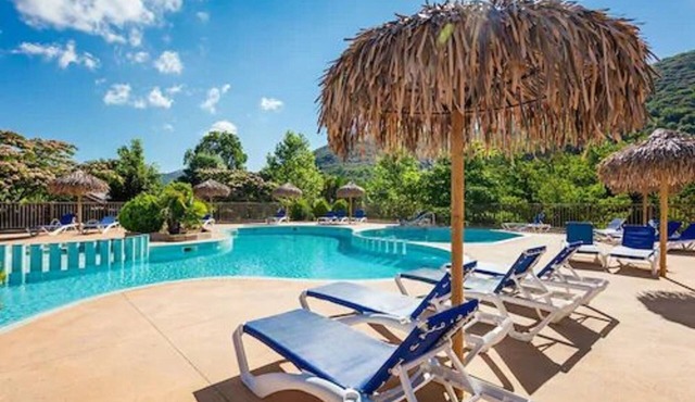 Camping Les Cerisiers du Jaur