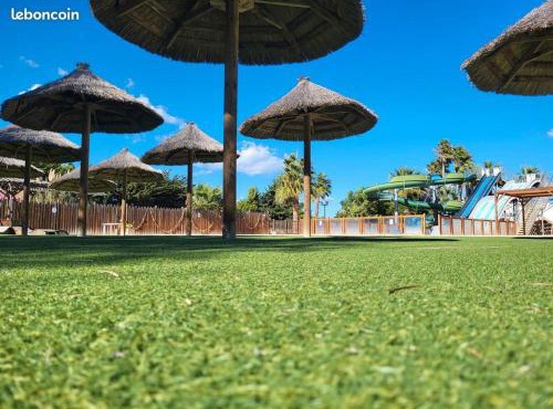 Camping LA PALMERAIE