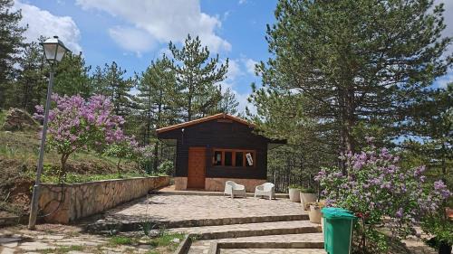 Camping Las Cabañas