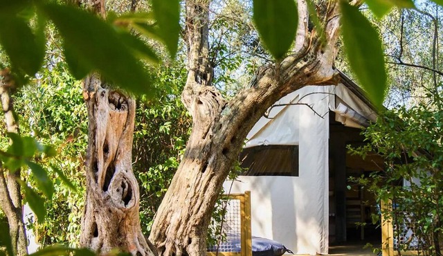 Camping Le Beau Vézé* - Cannelle Lodge 3 rooms 5 persons Without Bathroom