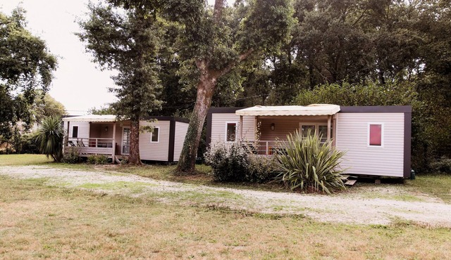 Camping Le Paradis * - Mobile Home Camélia 3 Rooms 4 People + TV