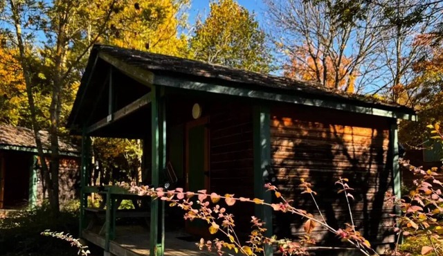 Camping Le Plô * - Mini Chalet Olga 2 Rooms 5 People