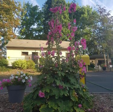 Camping le Rochat Belle Isle