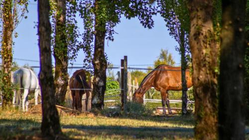 Camping Les Embruns d'Oléron